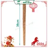 Cây xới cơm Gỗ dừa-0